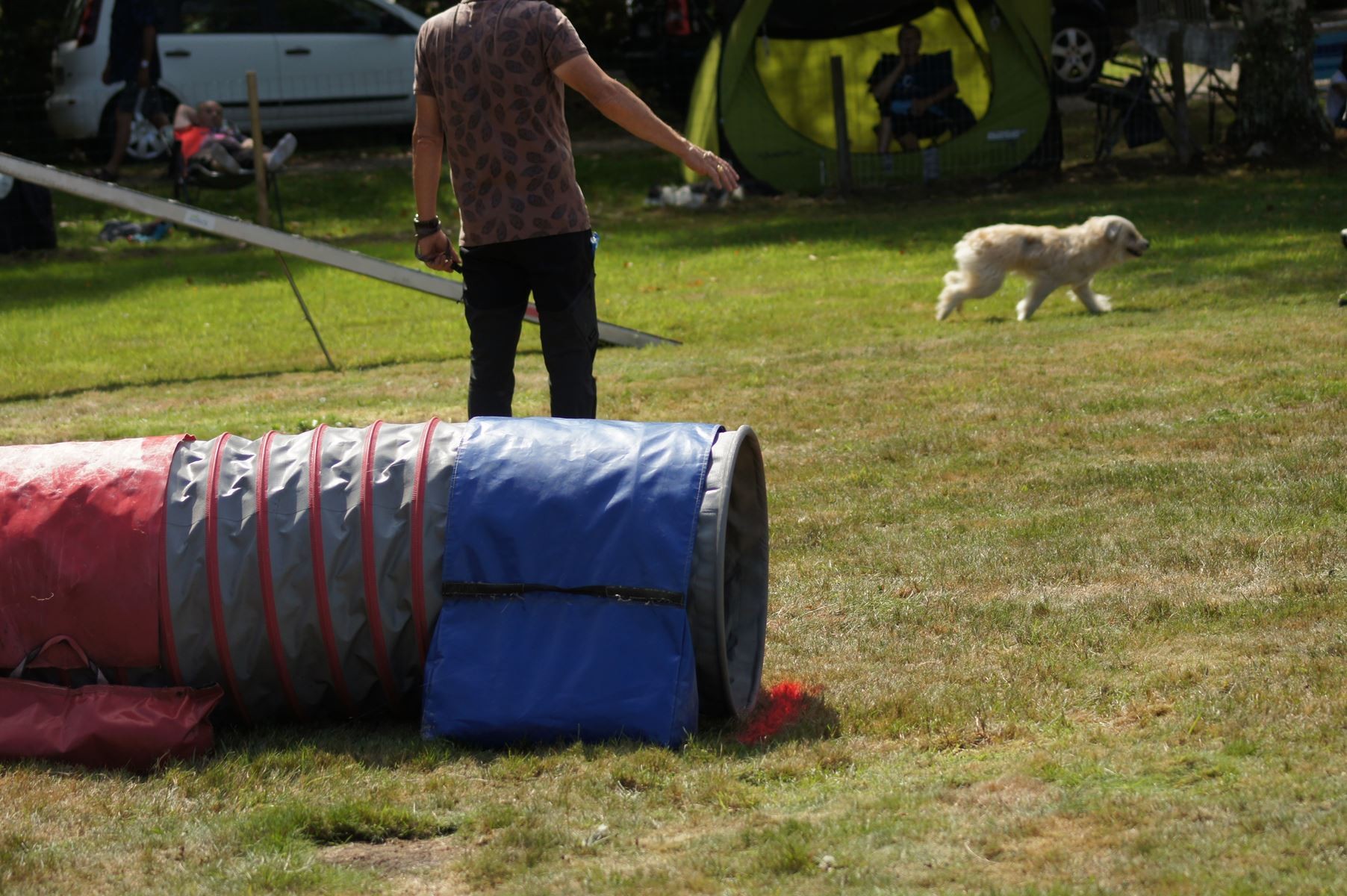 CONCOURS AGILITY 28 AOÛT 2022