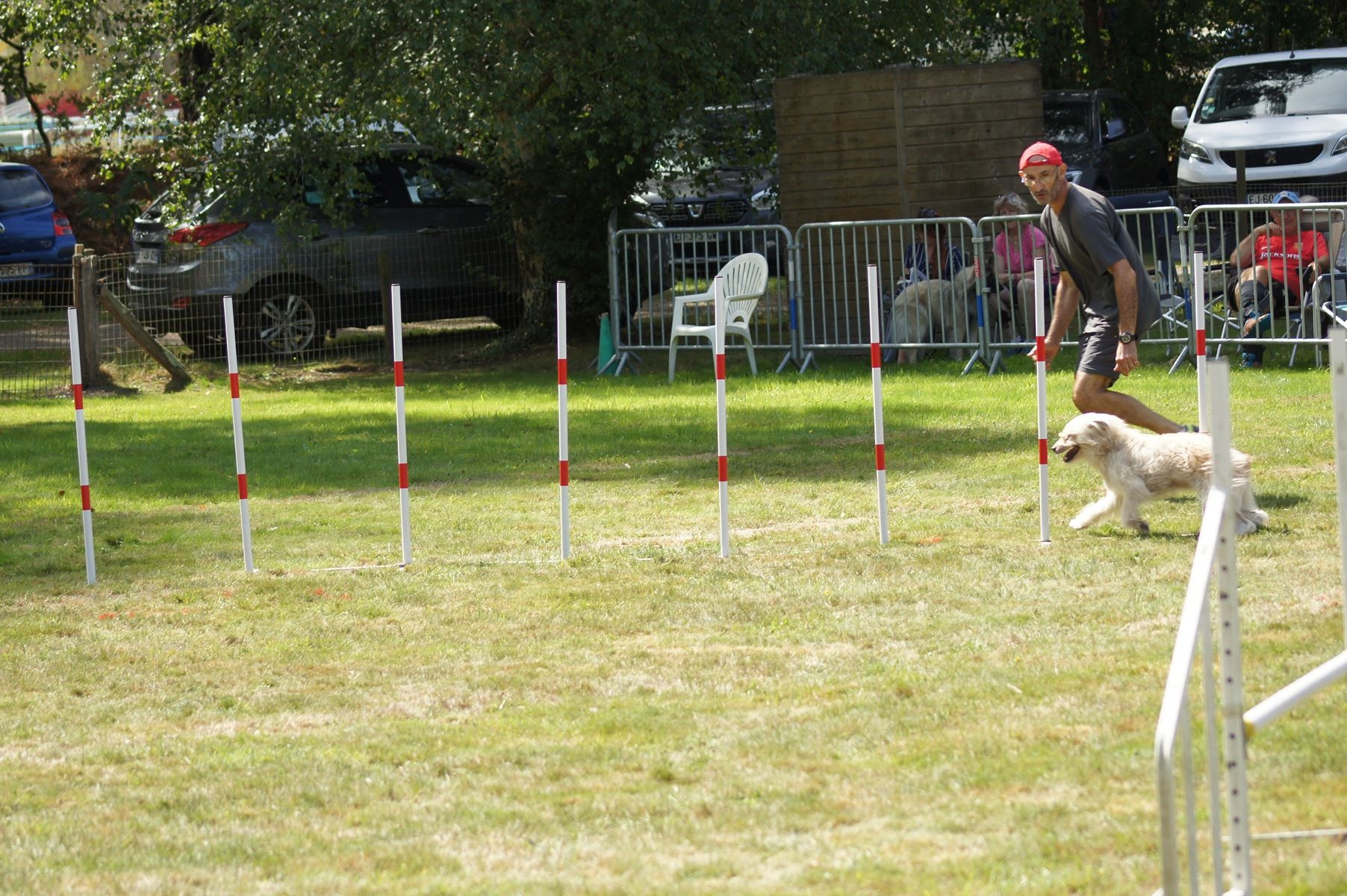 CONCOURS AGILITY 28 AOÛT 2022