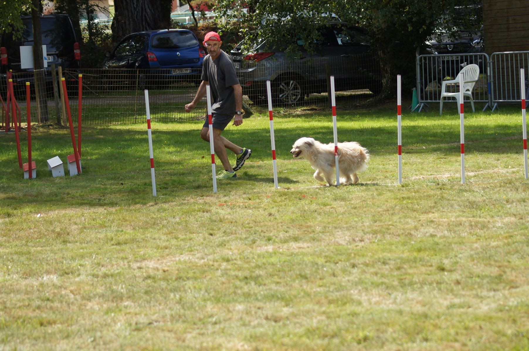 CONCOURS AGILITY 28 AOÛT 2022