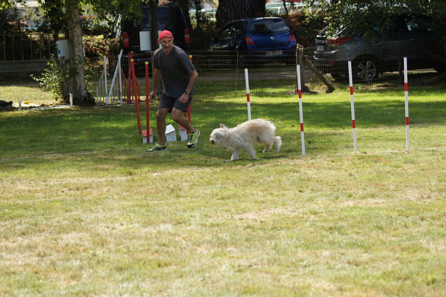 CONCOURS AGILITY 28 AOÛT 2022