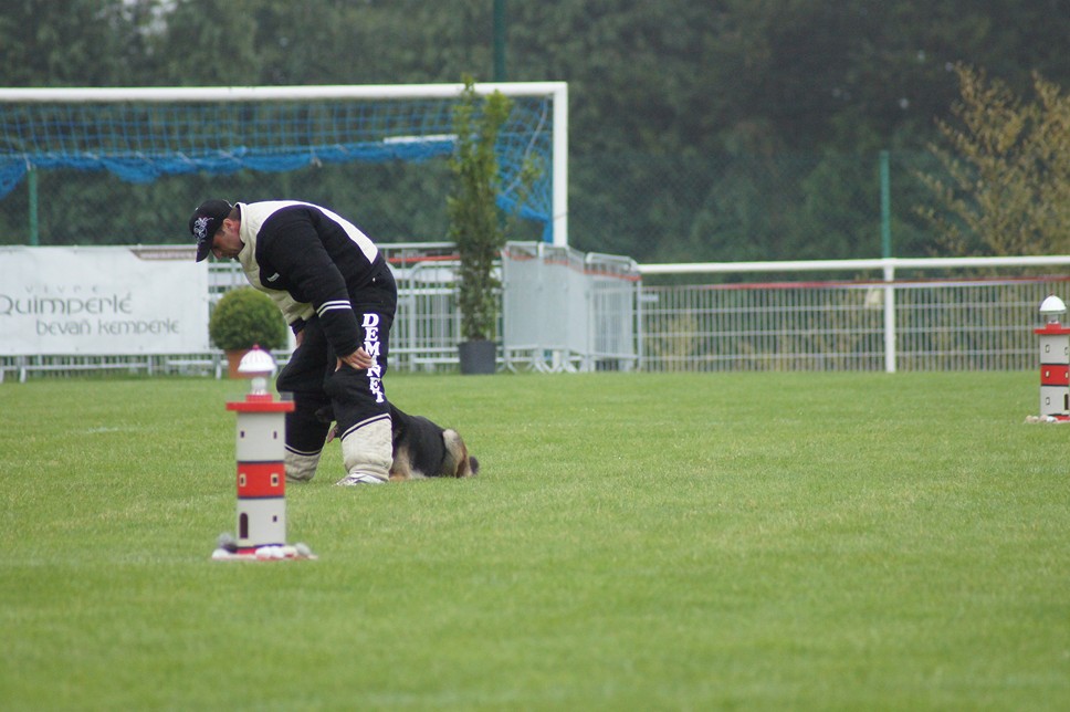 Championnat de France RING 29 ET 30 JUIN 2013 A QUIMPERLE