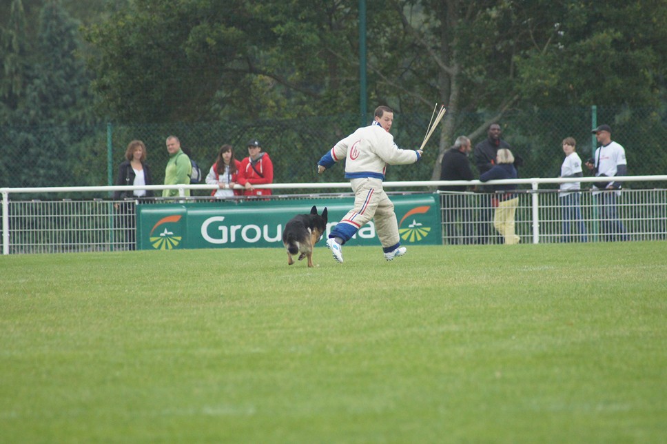 Championnat de France RING 29 ET 30 JUIN 2013 A QUIMPERLE