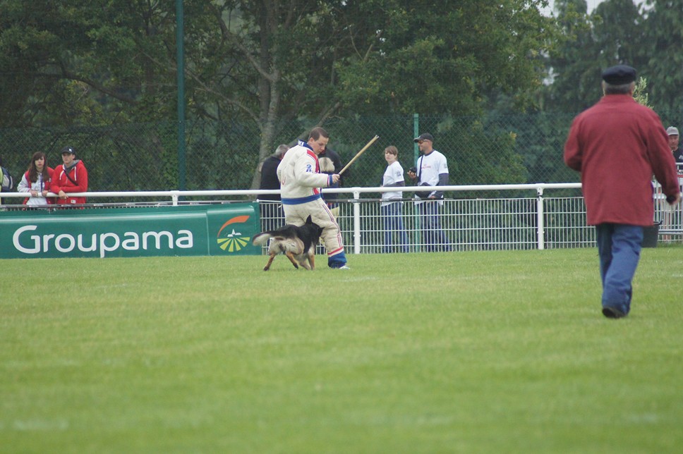 Championnat de France RING 29 ET 30 JUIN 2013 A QUIMPERLE