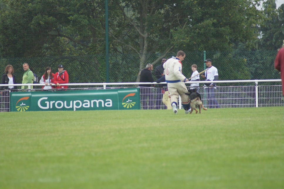 Championnat de France RING 29 ET 30 JUIN 2013 A QUIMPERLE