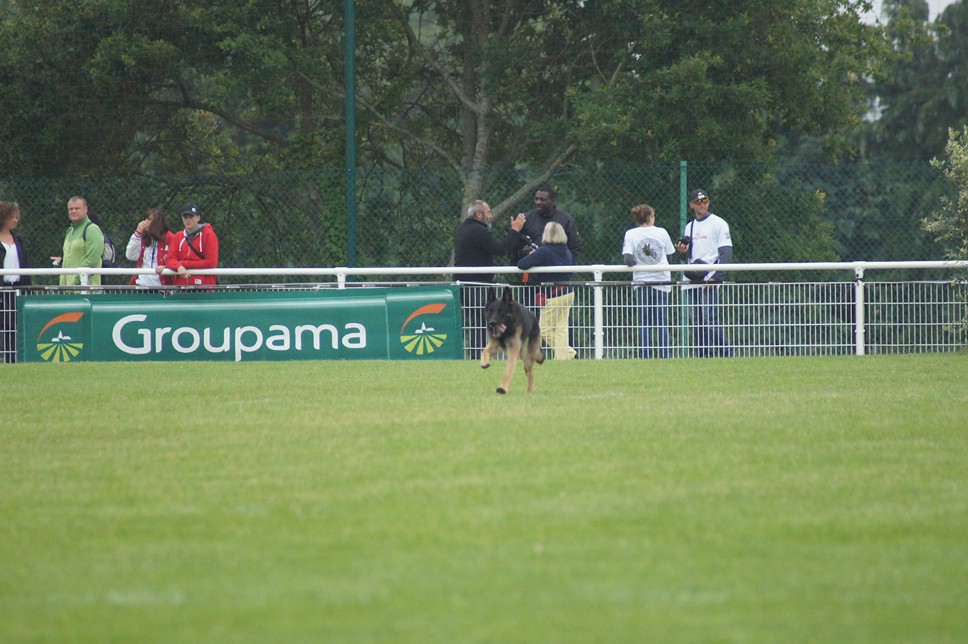 Championnat de France RING 29 ET 30 JUIN 2013 A QUIMPERLE