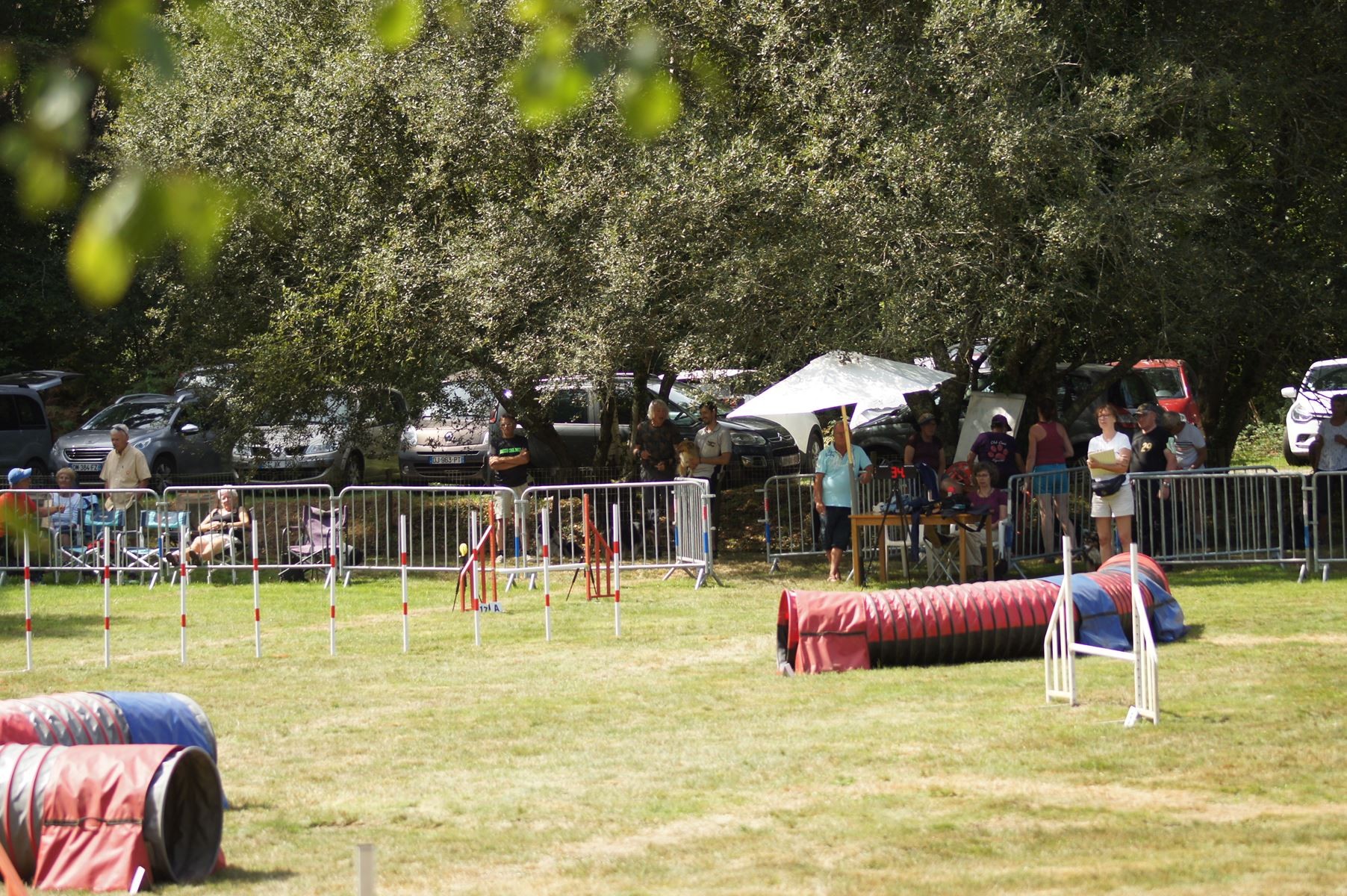 CONCOURS AGILITY 28 AOÛT 2022