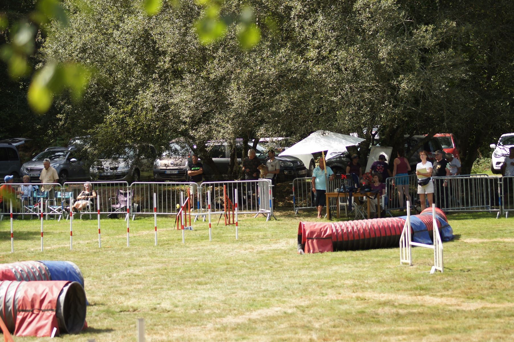 CONCOURS AGILITY 28 AOÛT 2022