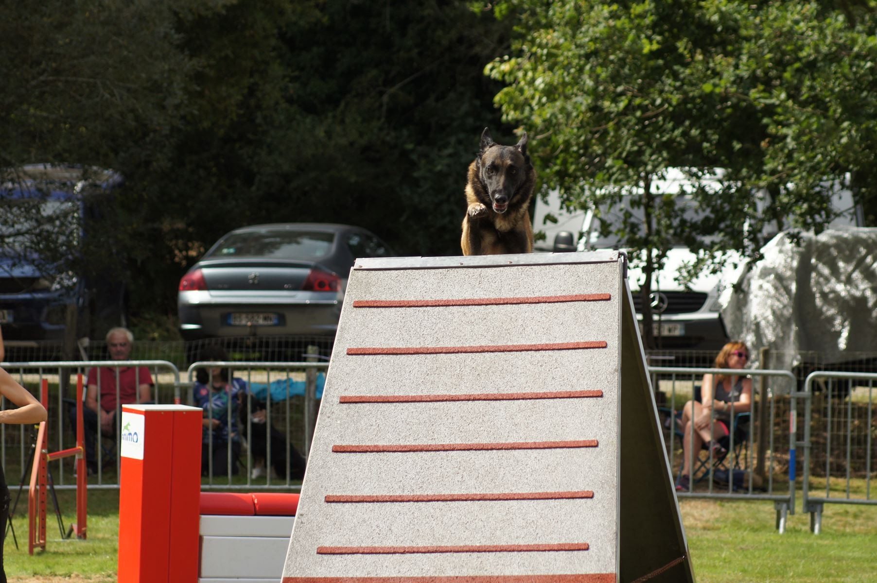 CONCOURS AGILITY 28 AOÛT 2022