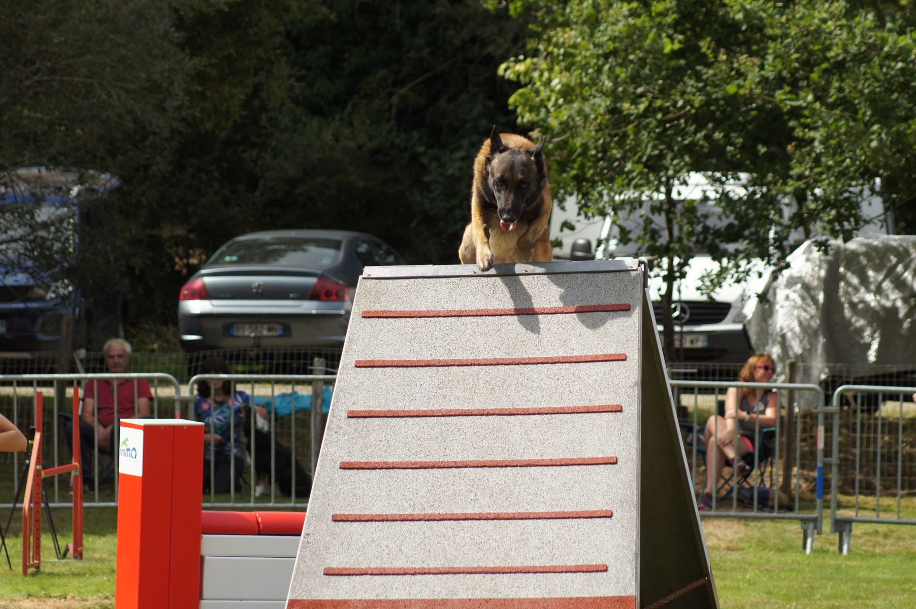 CONCOURS AGILITY 28 AOÛT 2022