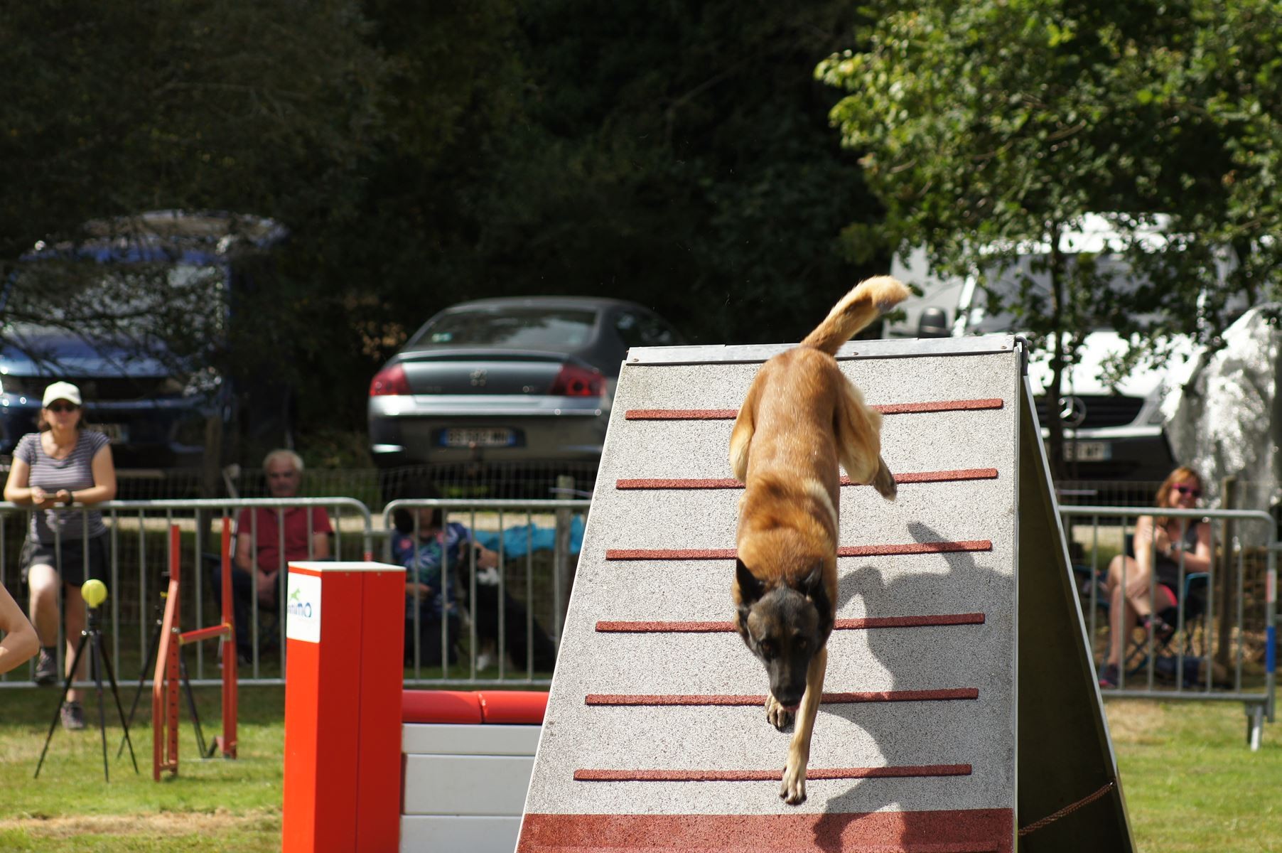 CONCOURS AGILITY 28 AOÛT 2022