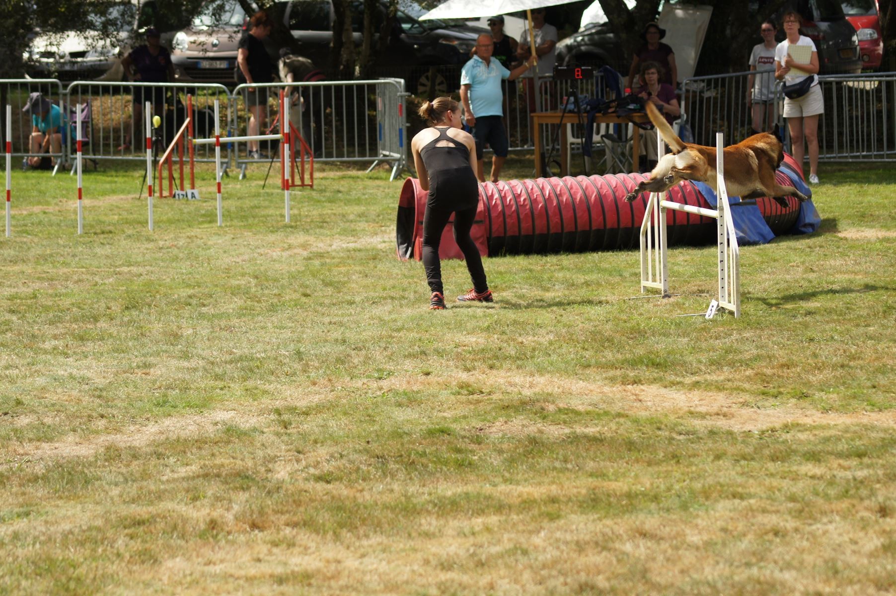 CONCOURS AGILITY 28 AOÛT 2022