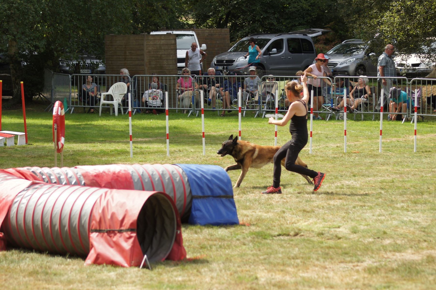 CONCOURS AGILITY 28 AOÛT 2022