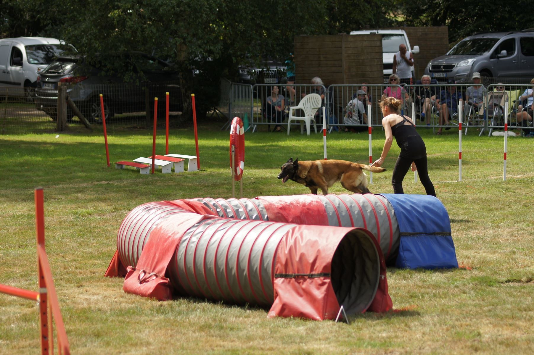 CONCOURS AGILITY 28 AOÛT 2022