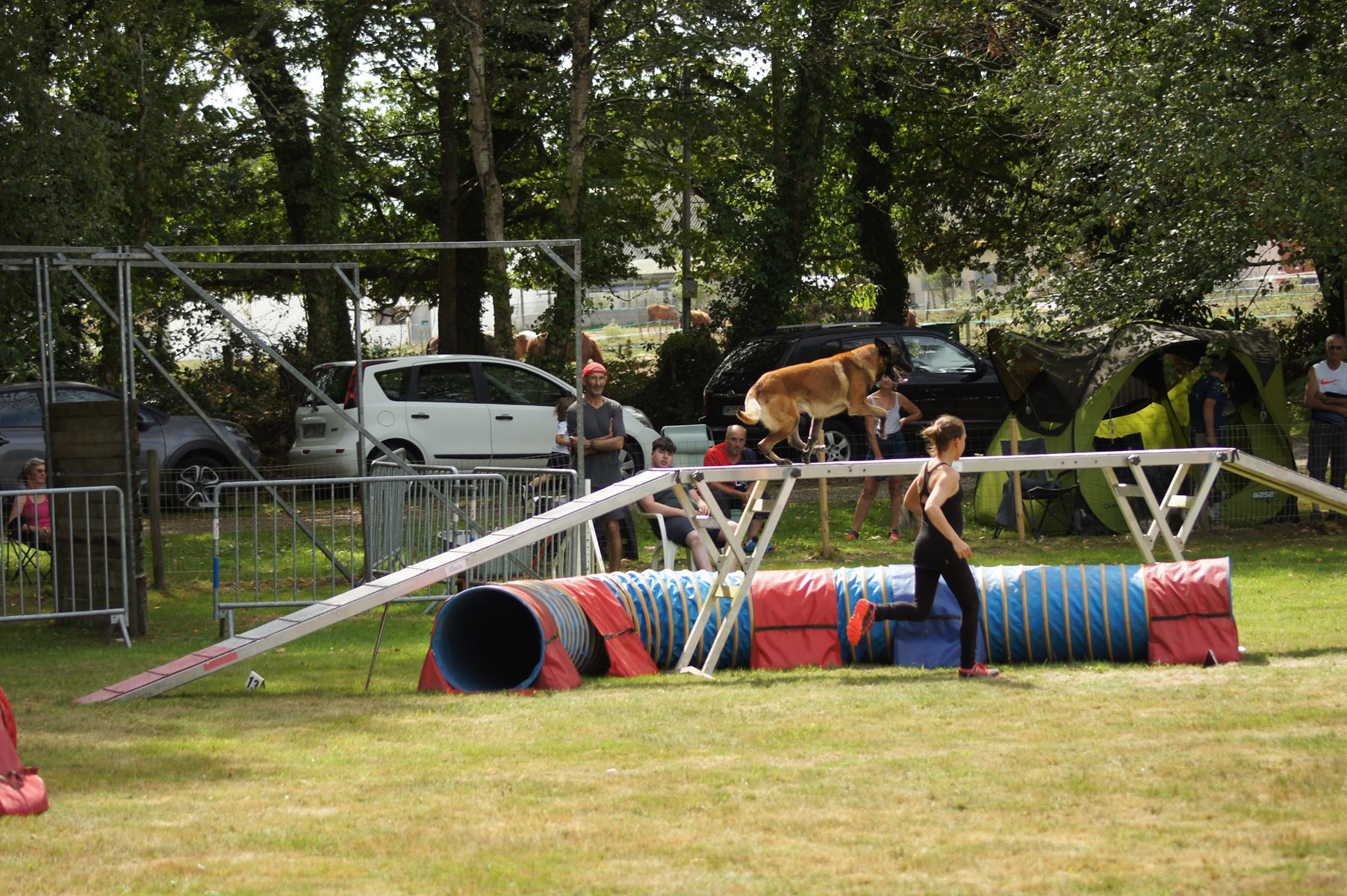 CONCOURS AGILITY 28 AOÛT 2022