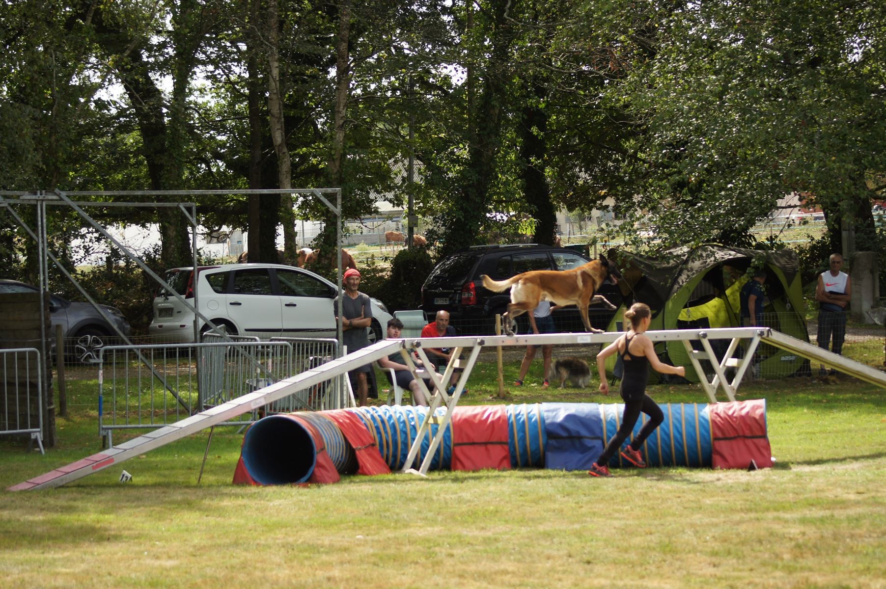 CONCOURS AGILITY 28 AOÛT 2022