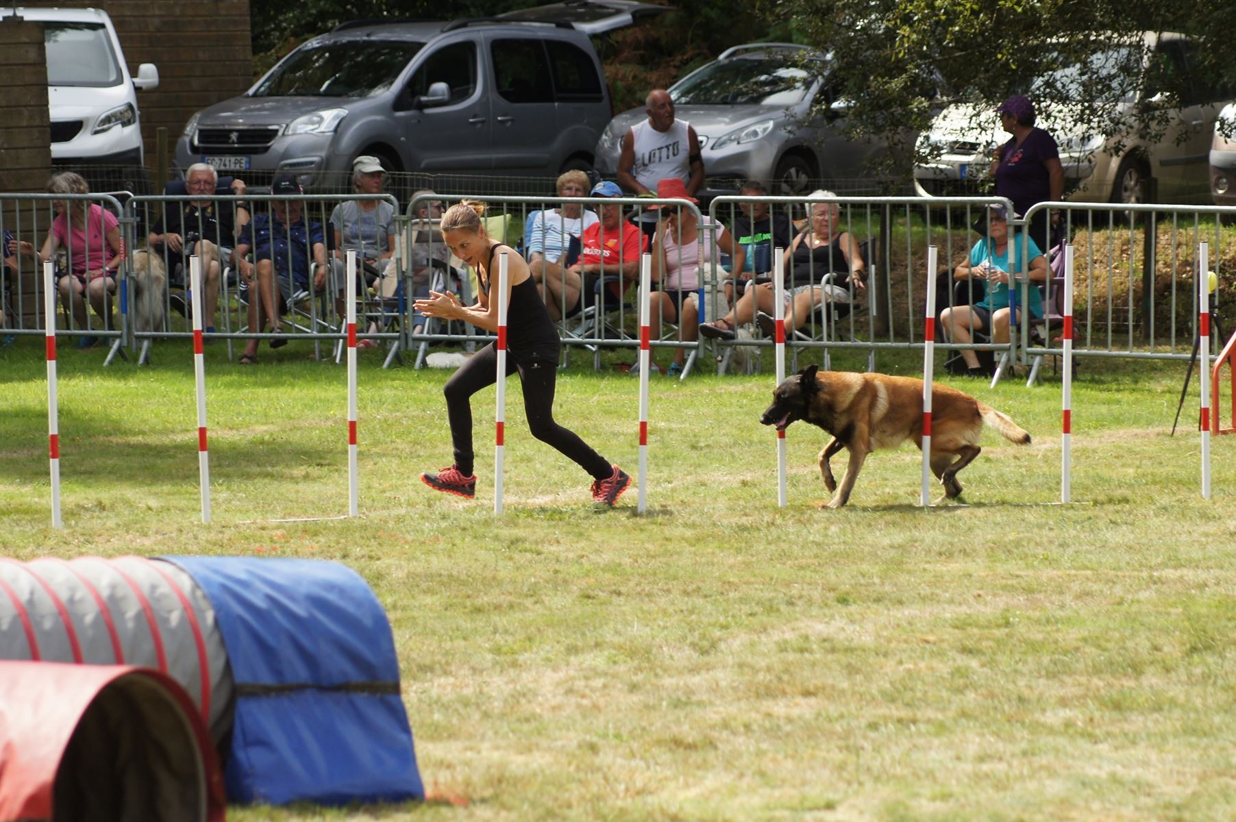 CONCOURS AGILITY 28 AOÛT 2022