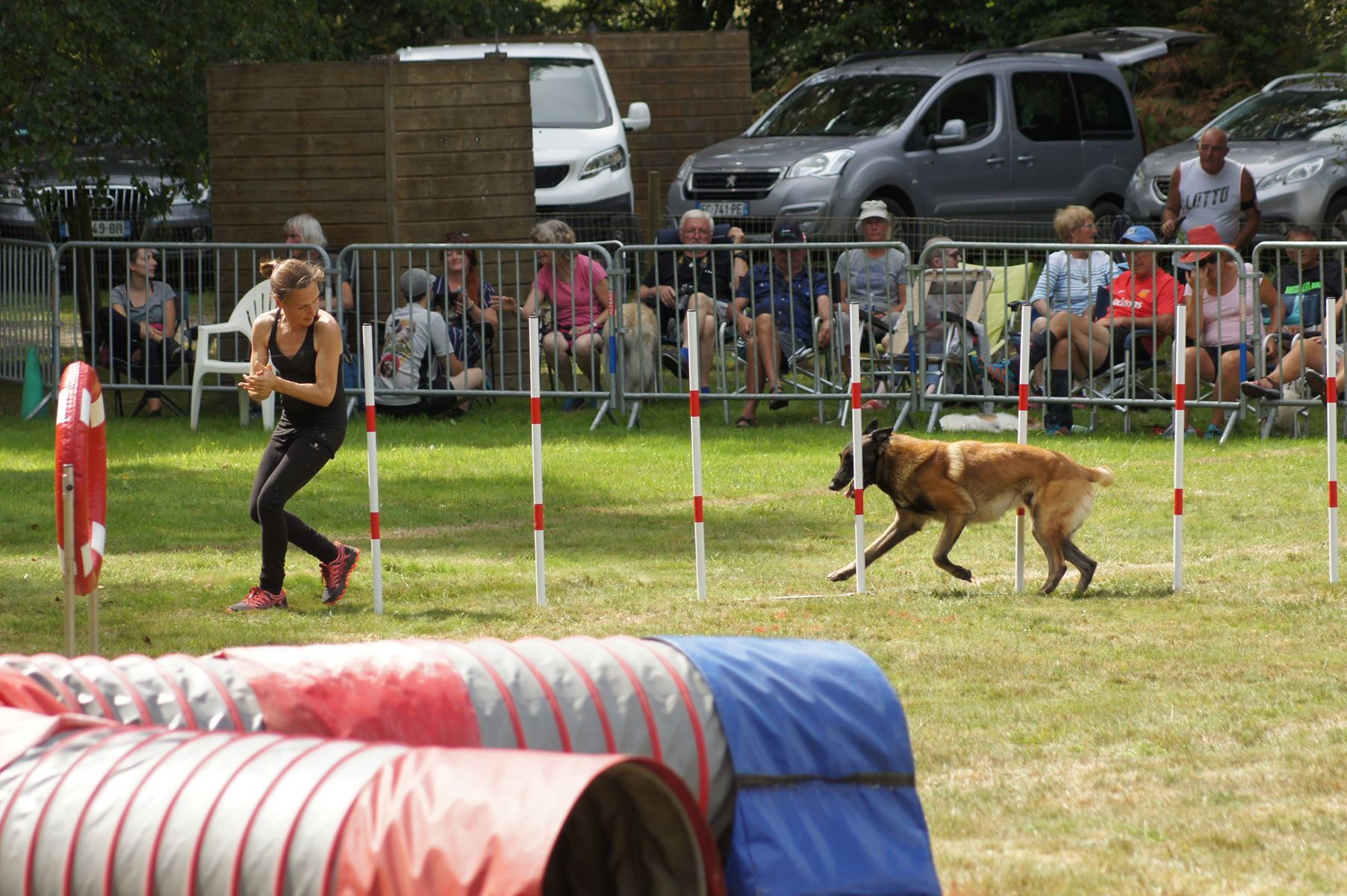 CONCOURS AGILITY 28 AOÛT 2022