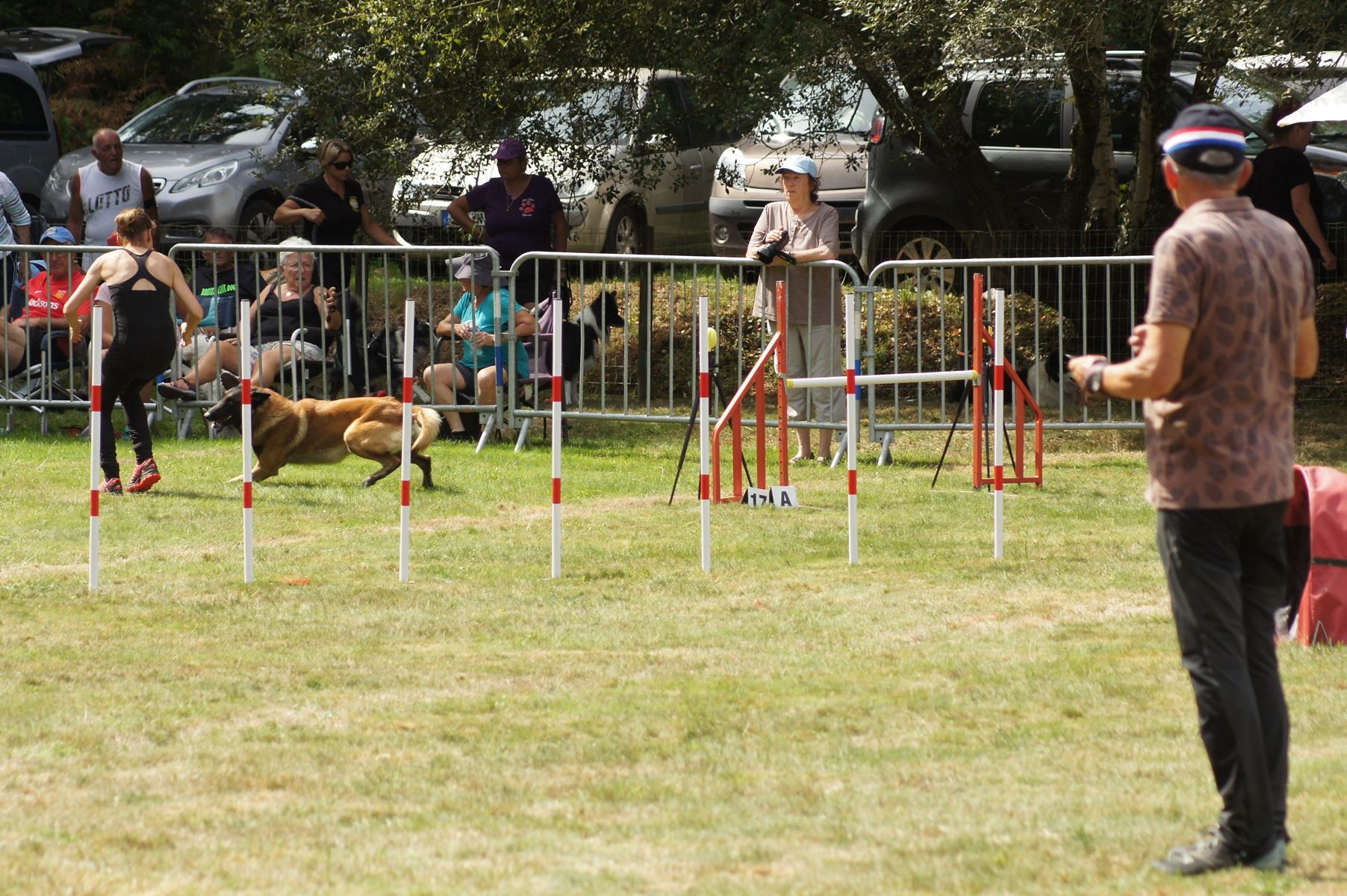 CONCOURS AGILITY 28 AOÛT 2022