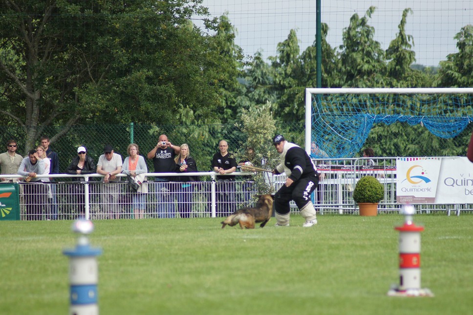 Championnat de France RING 29 ET 30 JUIN 2013 A QUIMPERLE