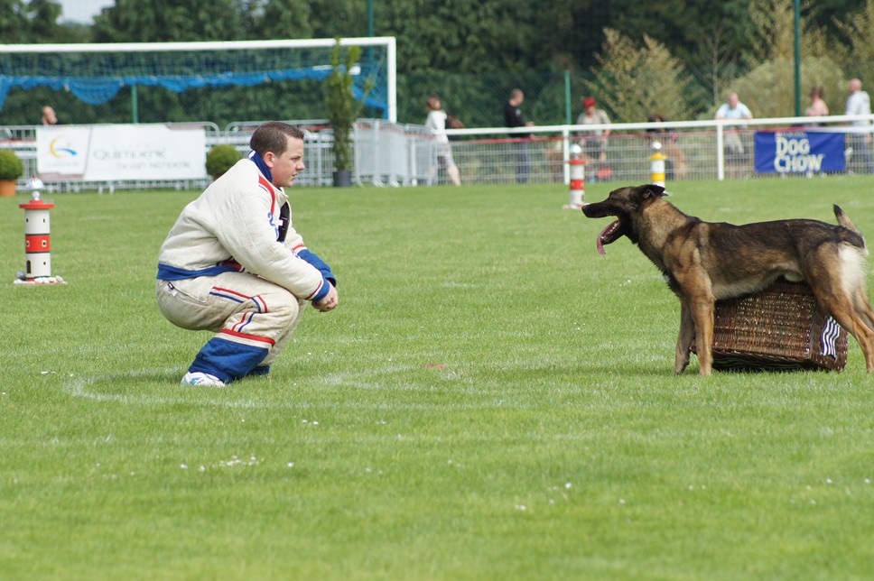 Championnat de France RING 29 ET 30 JUIN 2013 A QUIMPERLE