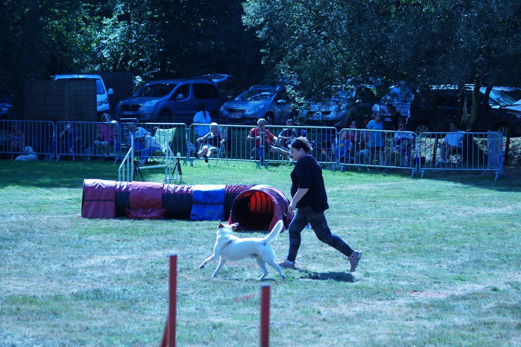 CONCOURS AGILITY 28 AOÛT 2022