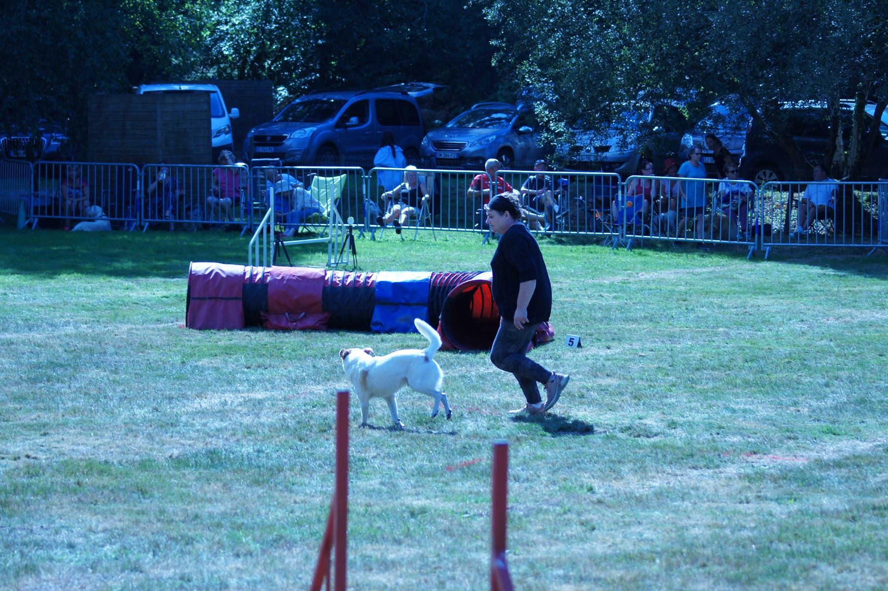 CONCOURS AGILITY 28 AOÛT 2022