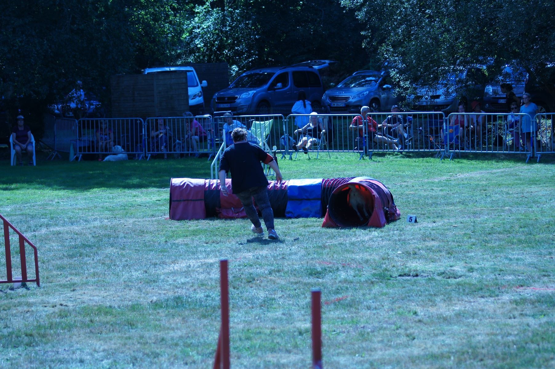 CONCOURS AGILITY 28 AOÛT 2022