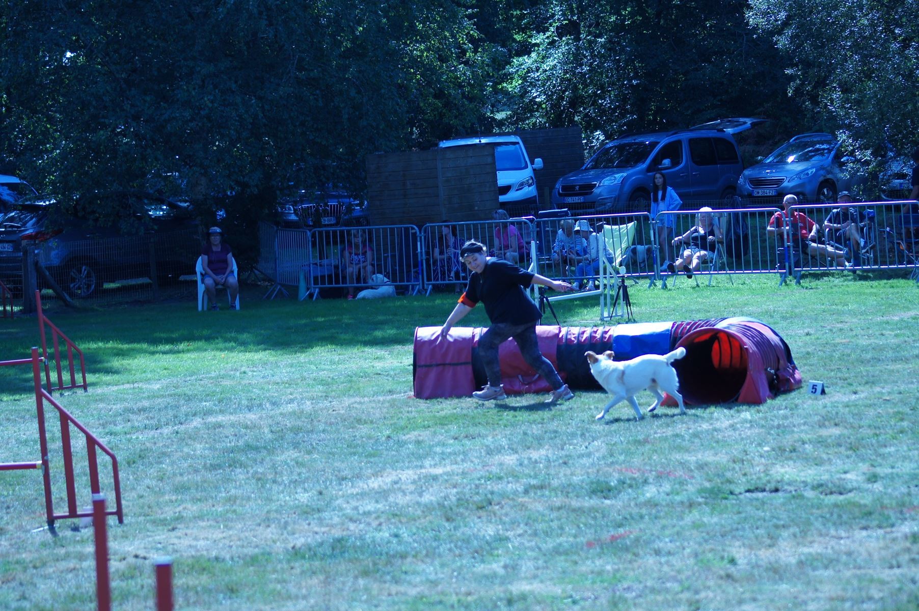 CONCOURS AGILITY 28 AOÛT 2022