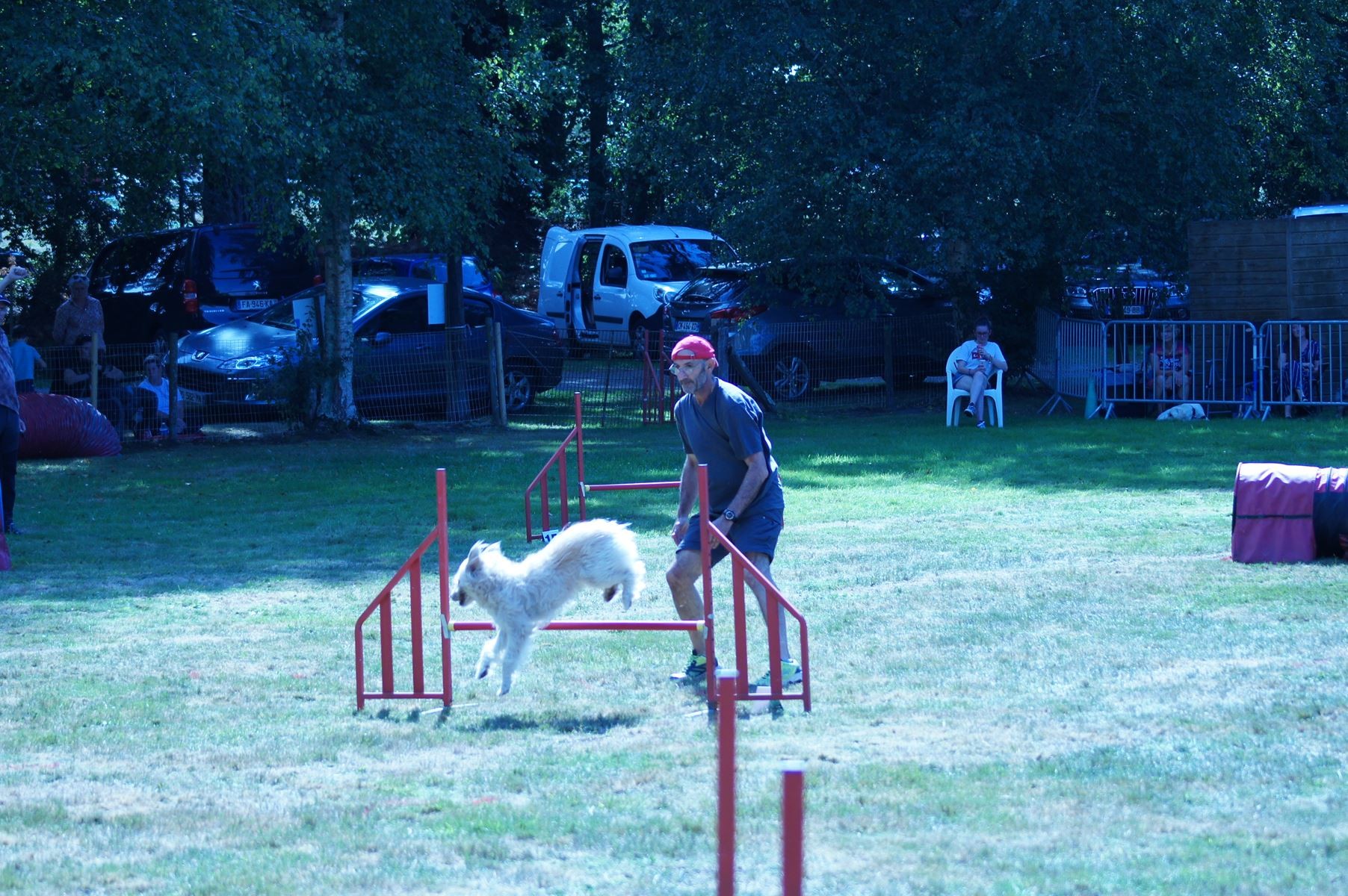 CONCOURS AGILITY 28 AOÛT 2022