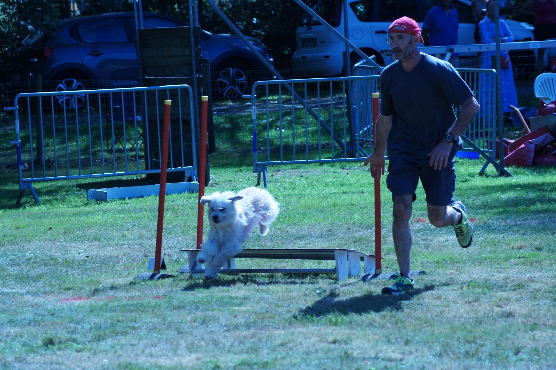 CONCOURS AGILITY 28 AOÛT 2022