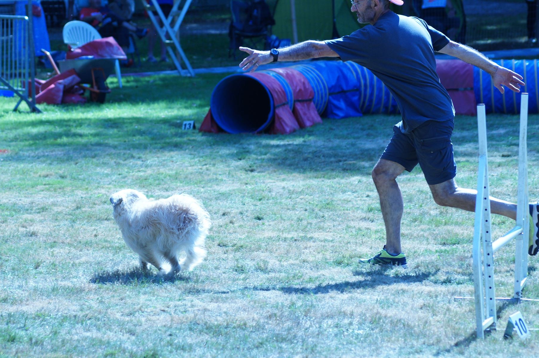 CONCOURS AGILITY 28 AOÛT 2022