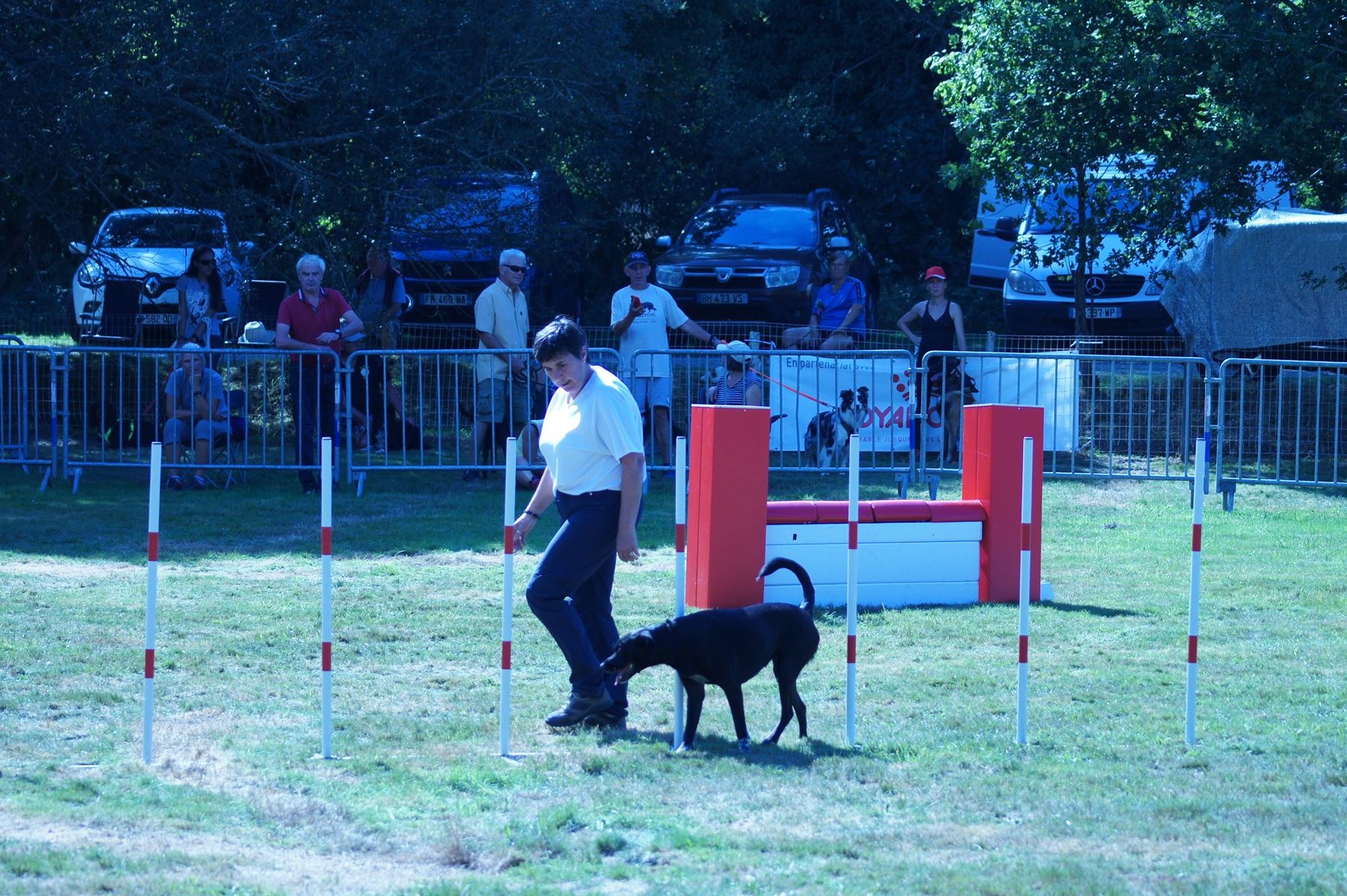 CONCOURS AGILITY 28 AOÛT 2022