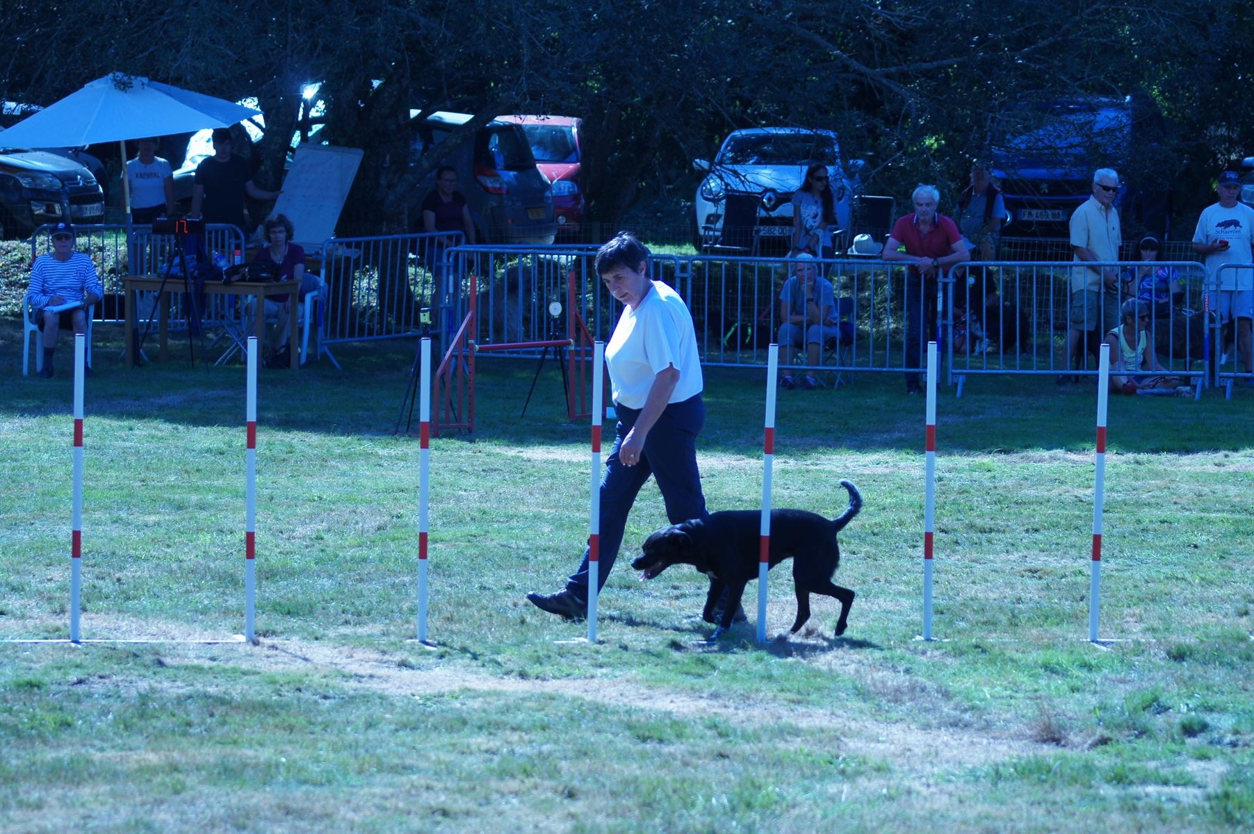 CONCOURS AGILITY 28 AOÛT 2022