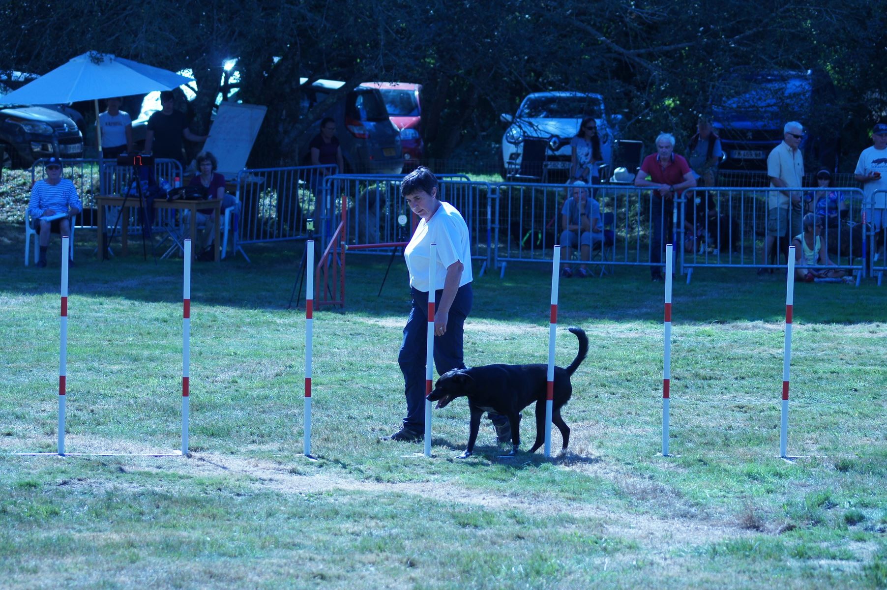 CONCOURS AGILITY 28 AOÛT 2022