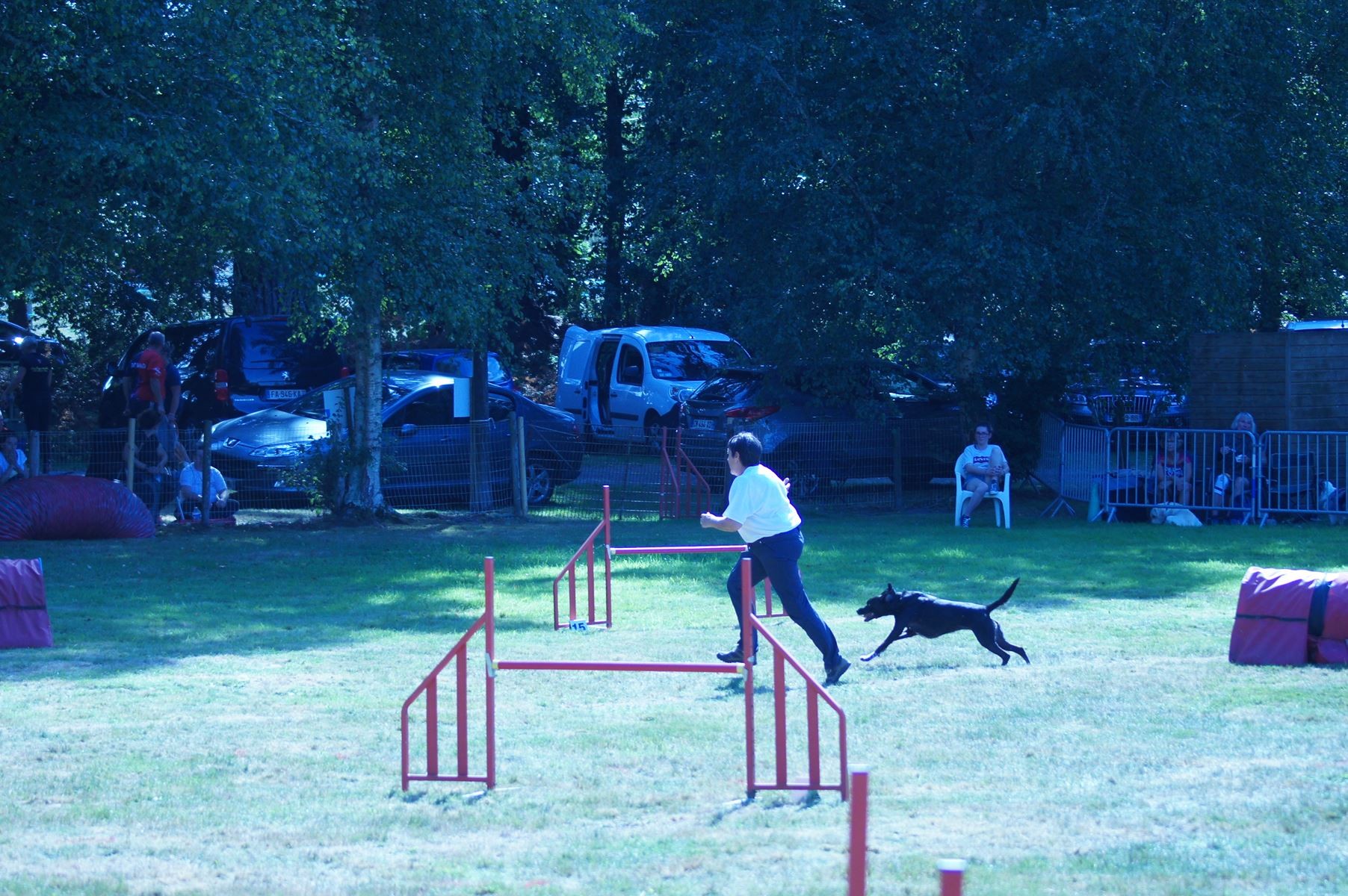 CONCOURS AGILITY 28 AOÛT 2022