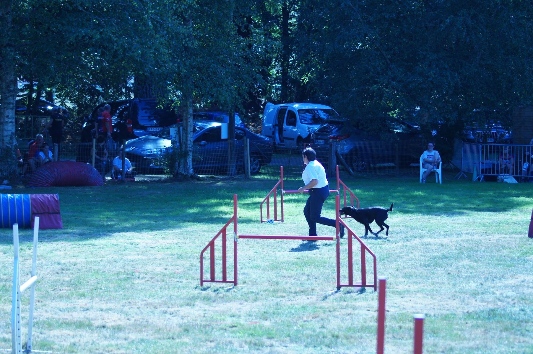 CONCOURS AGILITY 28 AOÛT 2022