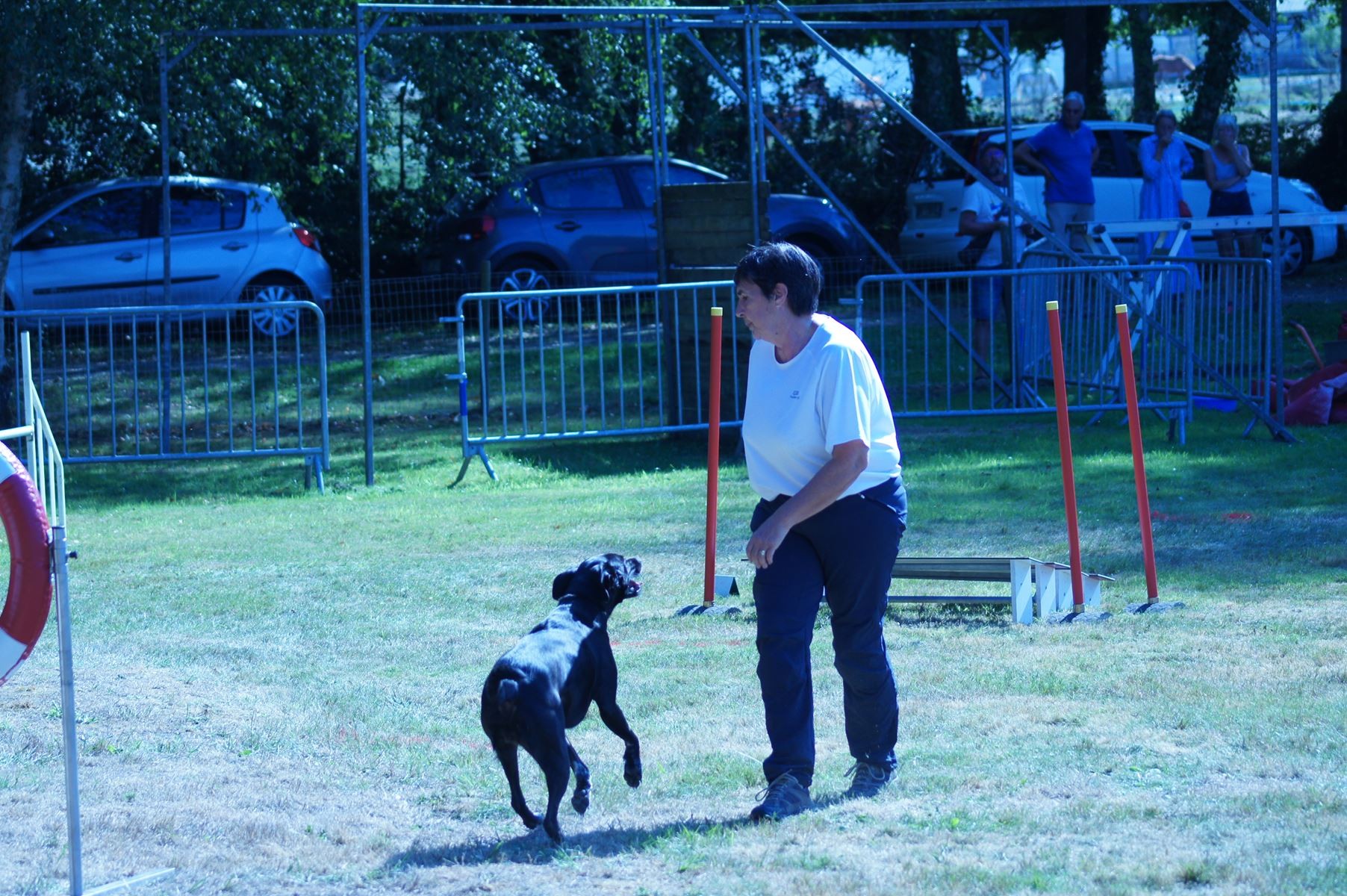 CONCOURS AGILITY 28 AOÛT 2022