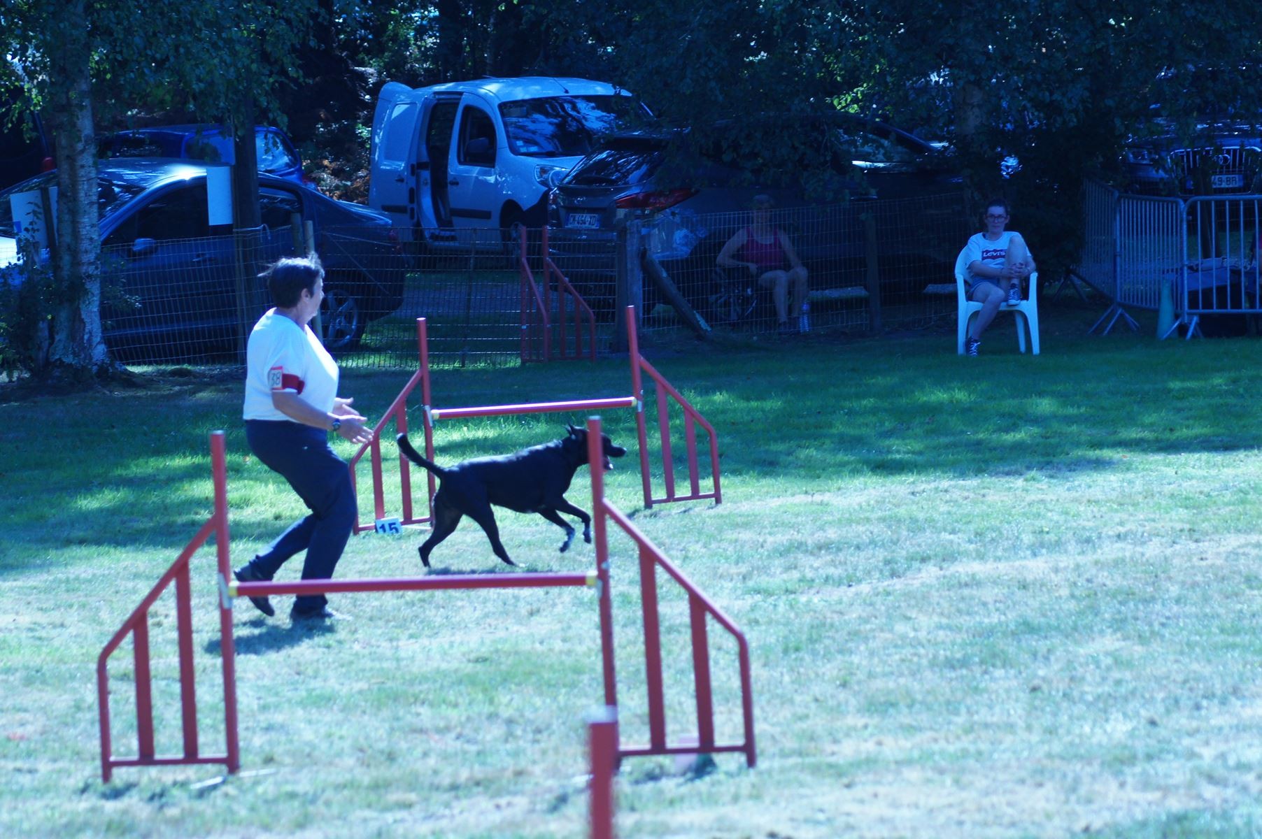 CONCOURS AGILITY 28 AOÛT 2022