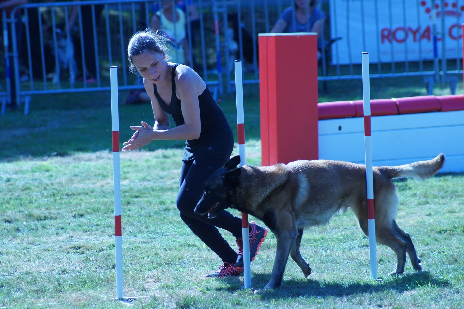 CONCOURS AGILITY 28 AOÛT 2022