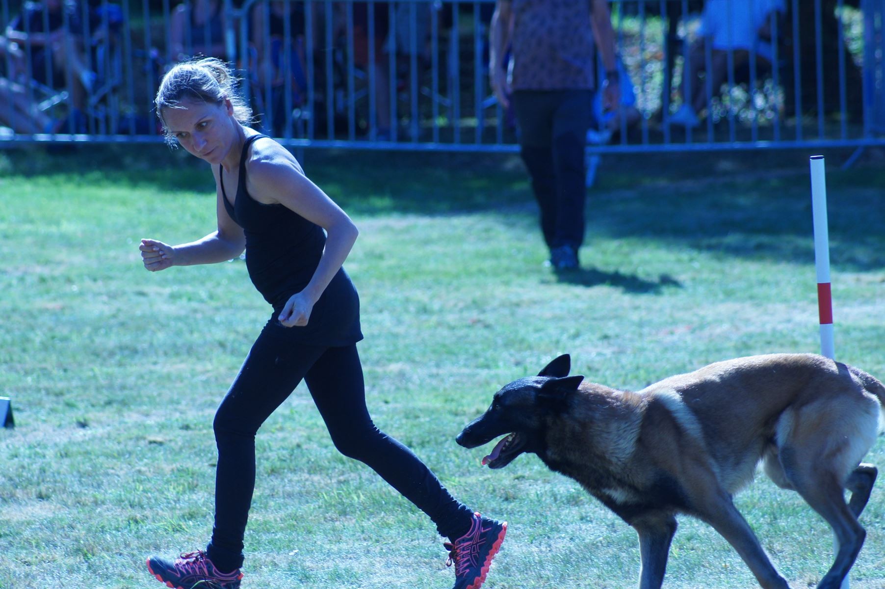 CONCOURS AGILITY 28 AOÛT 2022