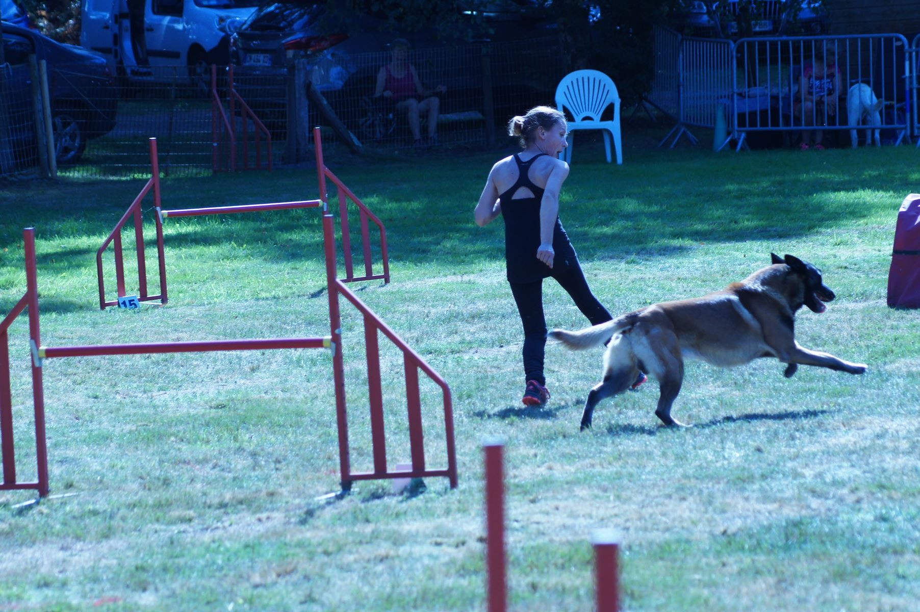 CONCOURS AGILITY 28 AOÛT 2022