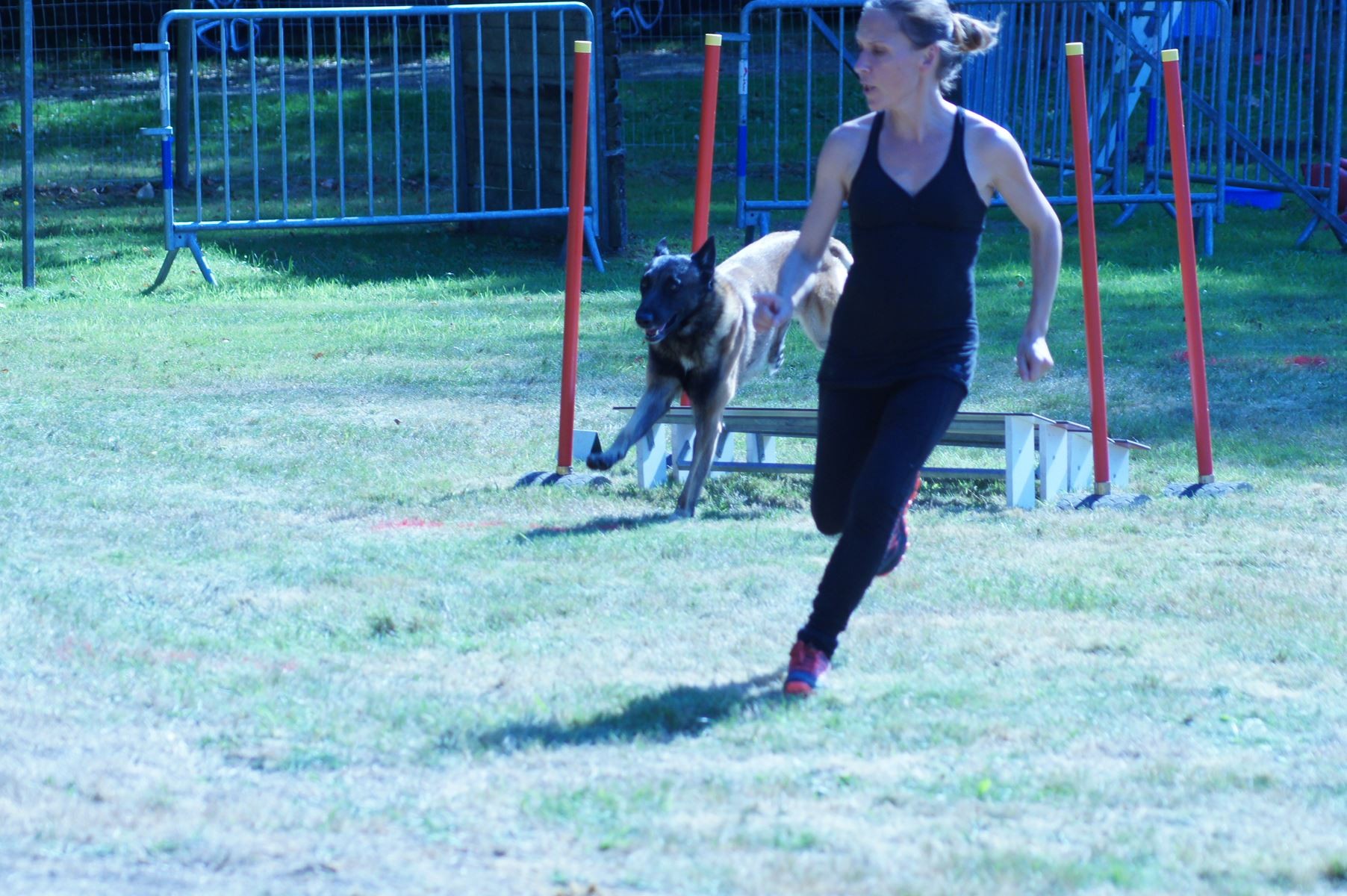 CONCOURS AGILITY 28 AOÛT 2022