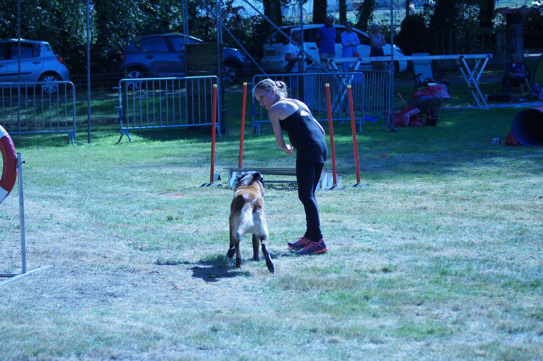 CONCOURS AGILITY 28 AOÛT 2022