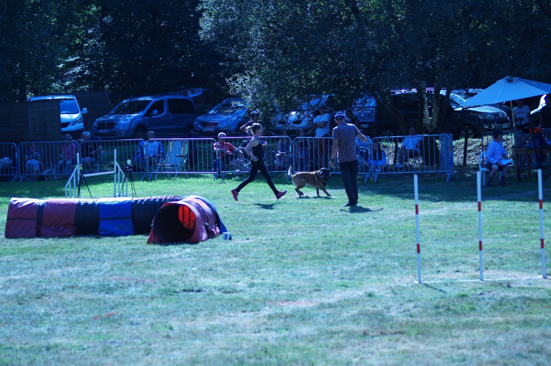 CONCOURS AGILITY 28 AOÛT 2022