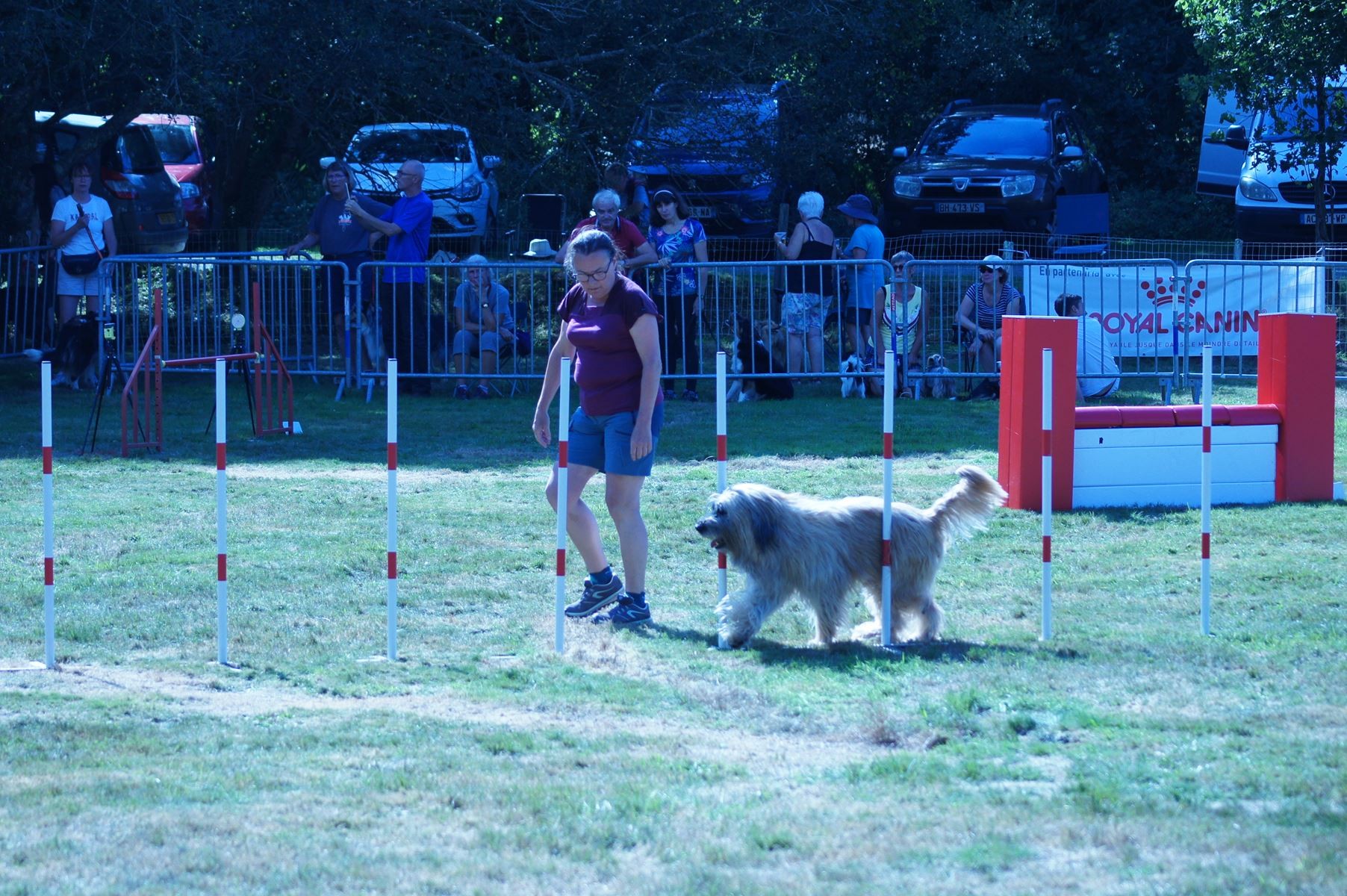 CONCOURS AGILITY 28 AOÛT 2022