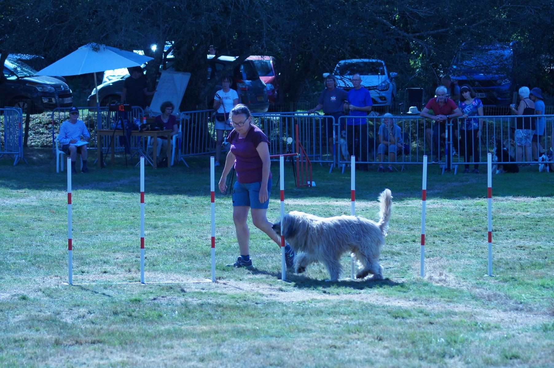 CONCOURS AGILITY 28 AOÛT 2022