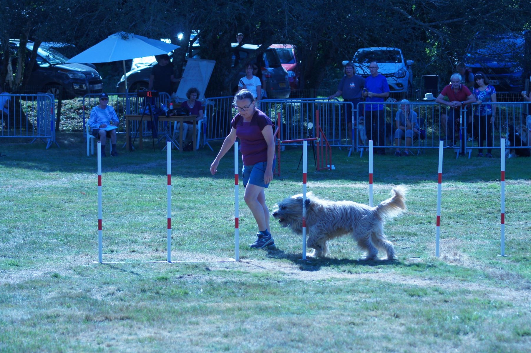 CONCOURS AGILITY 28 AOÛT 2022