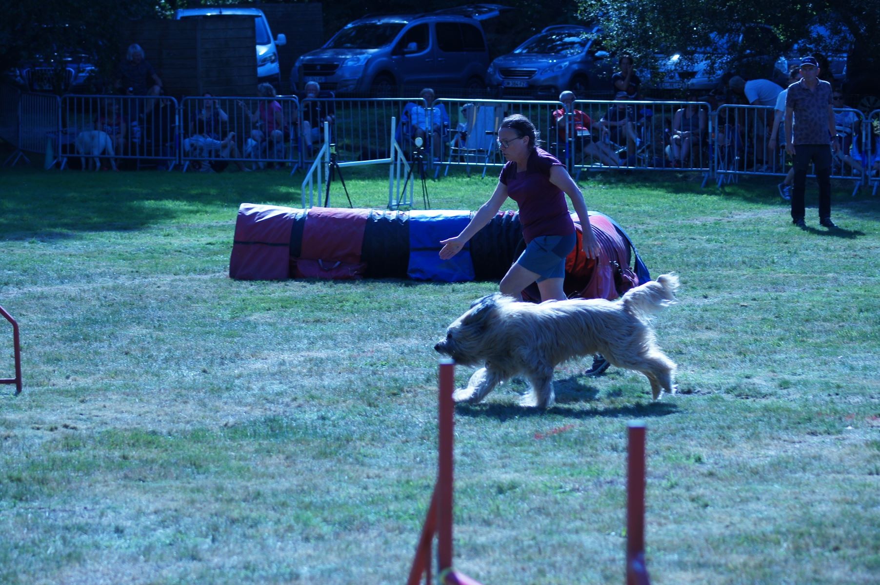 CONCOURS AGILITY 28 AOÛT 2022