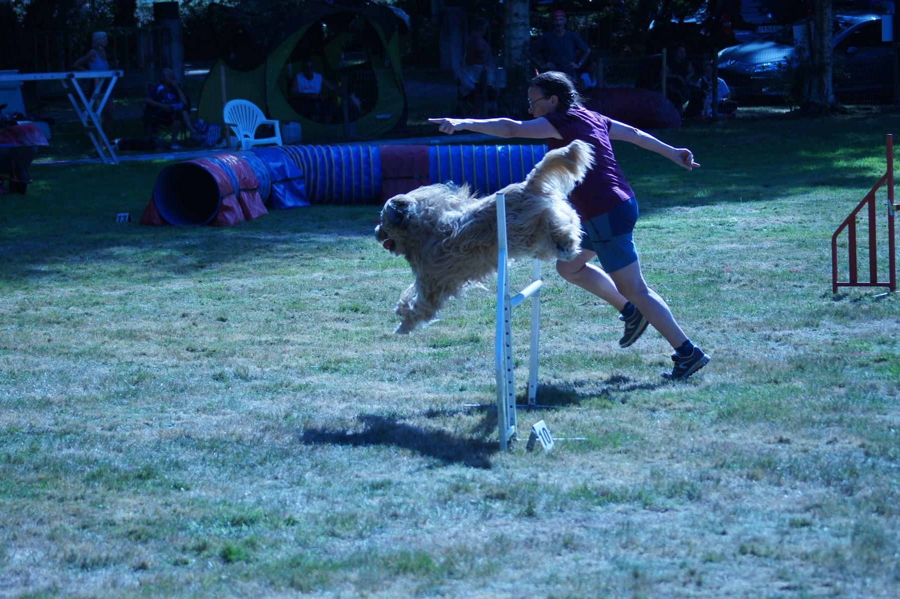 CONCOURS AGILITY 28 AOÛT 2022