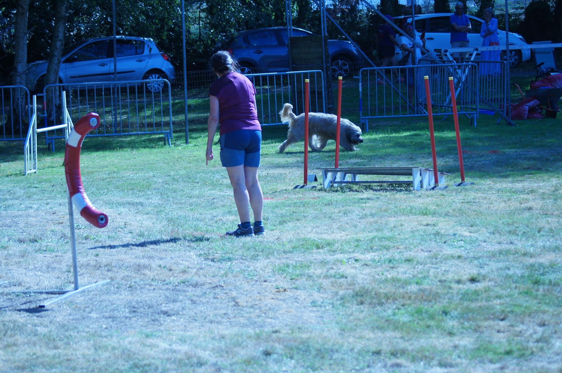 CONCOURS AGILITY 28 AOÛT 2022